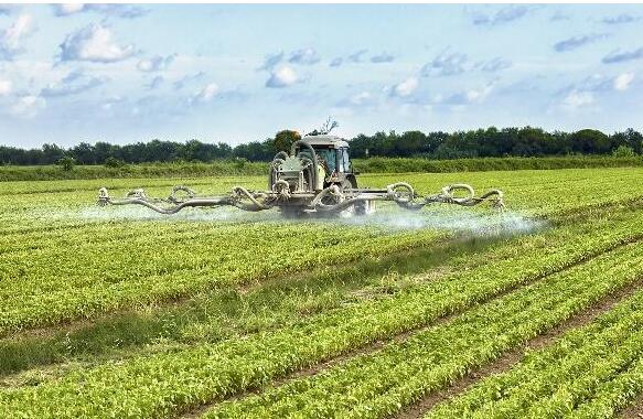 <a href=http://m.6060dd.com/mcy/ target=_blank class=infotextkey>木醋液</a>